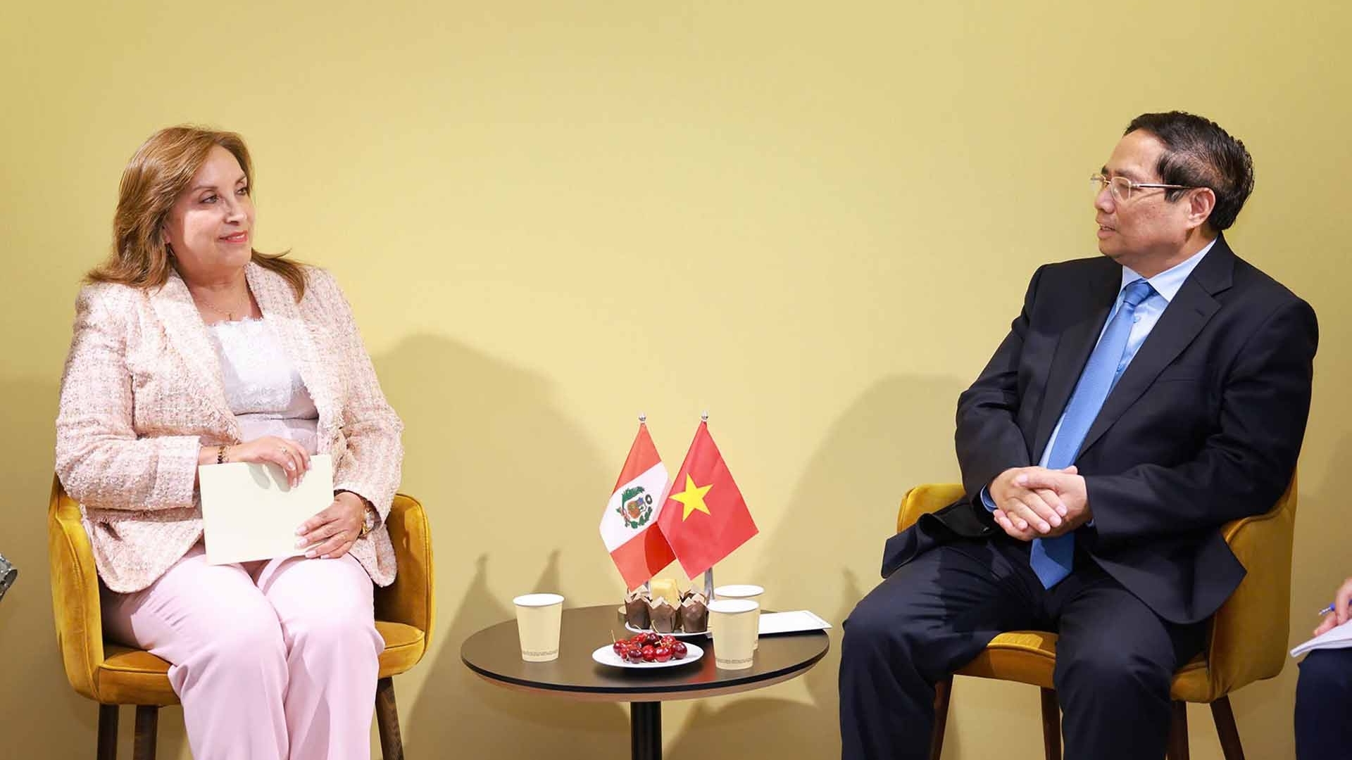 Việt Nam luôn là đối tác quan trọng hàng đầu của Peru ở khu vực Đông Nam Á