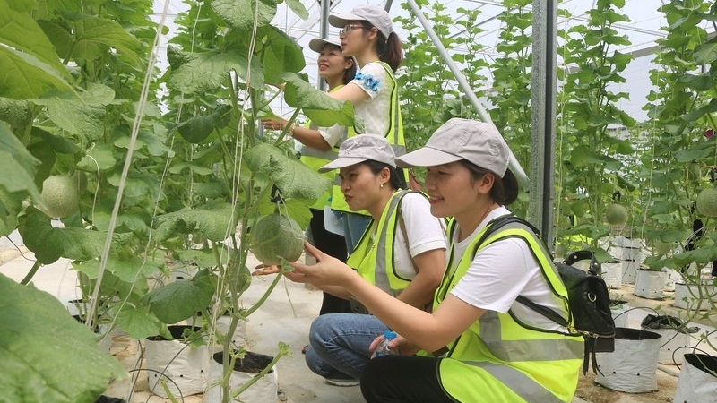 Khai mở 'kho báu' du lịch nông thôn ở Bắc Ninh