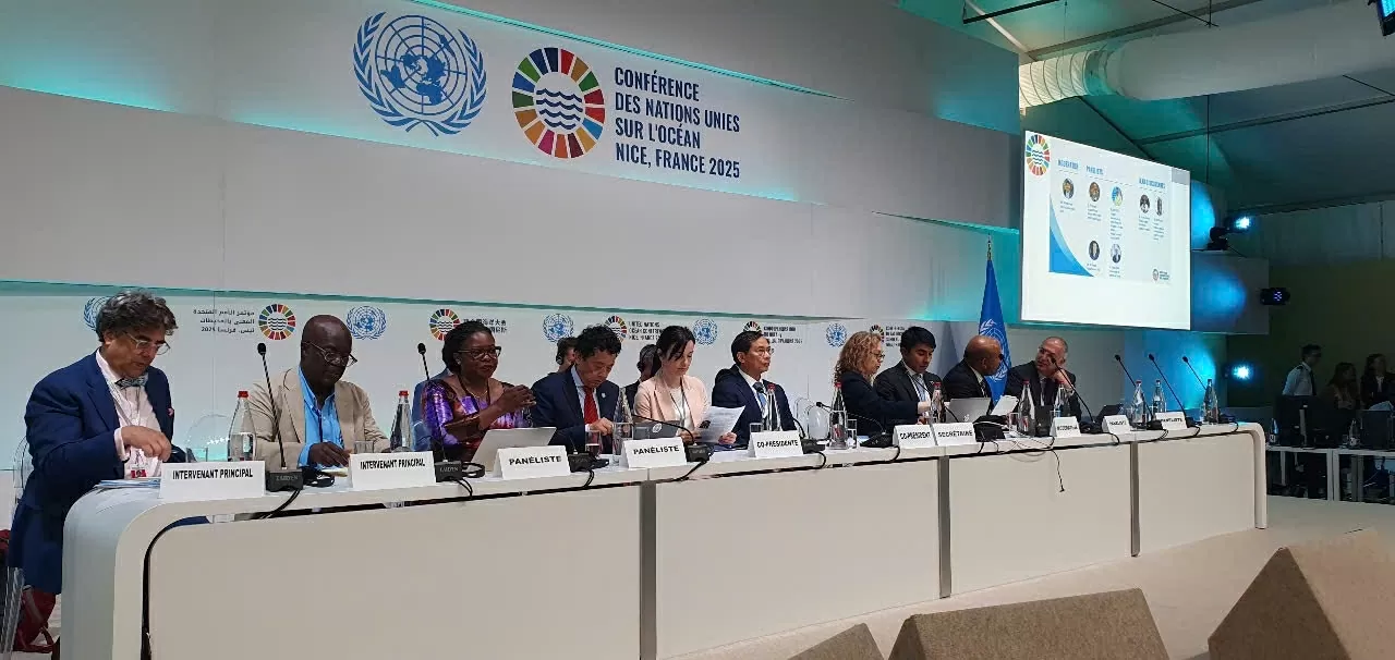 Phó Thủ tướng Bùi Thanh Sơn Phó Thủ tướng Bùi Thanh Sơn