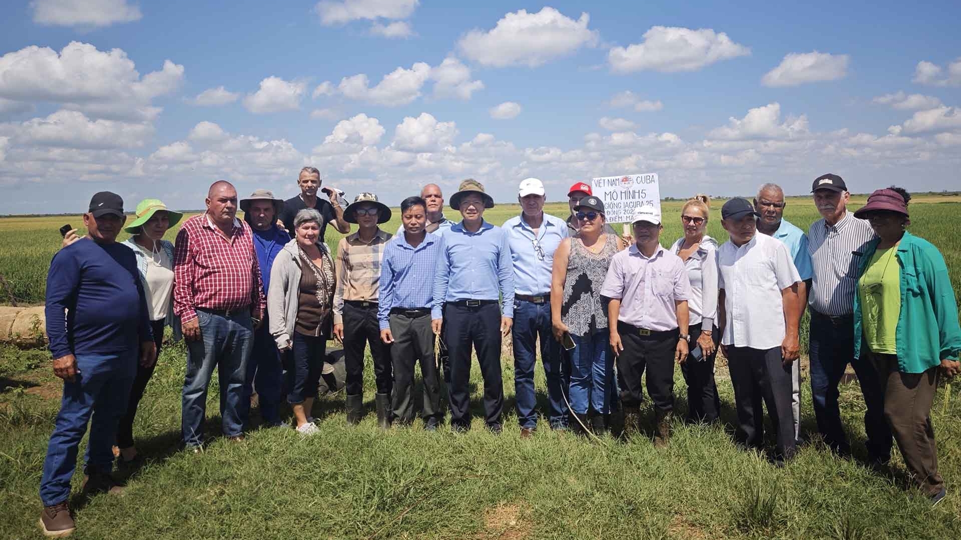 Việt Nam-Cuba phát triển sản xuất lúa gạo: Bốn giống đạt tiêu chuẩn và được đặt tên là ViBa