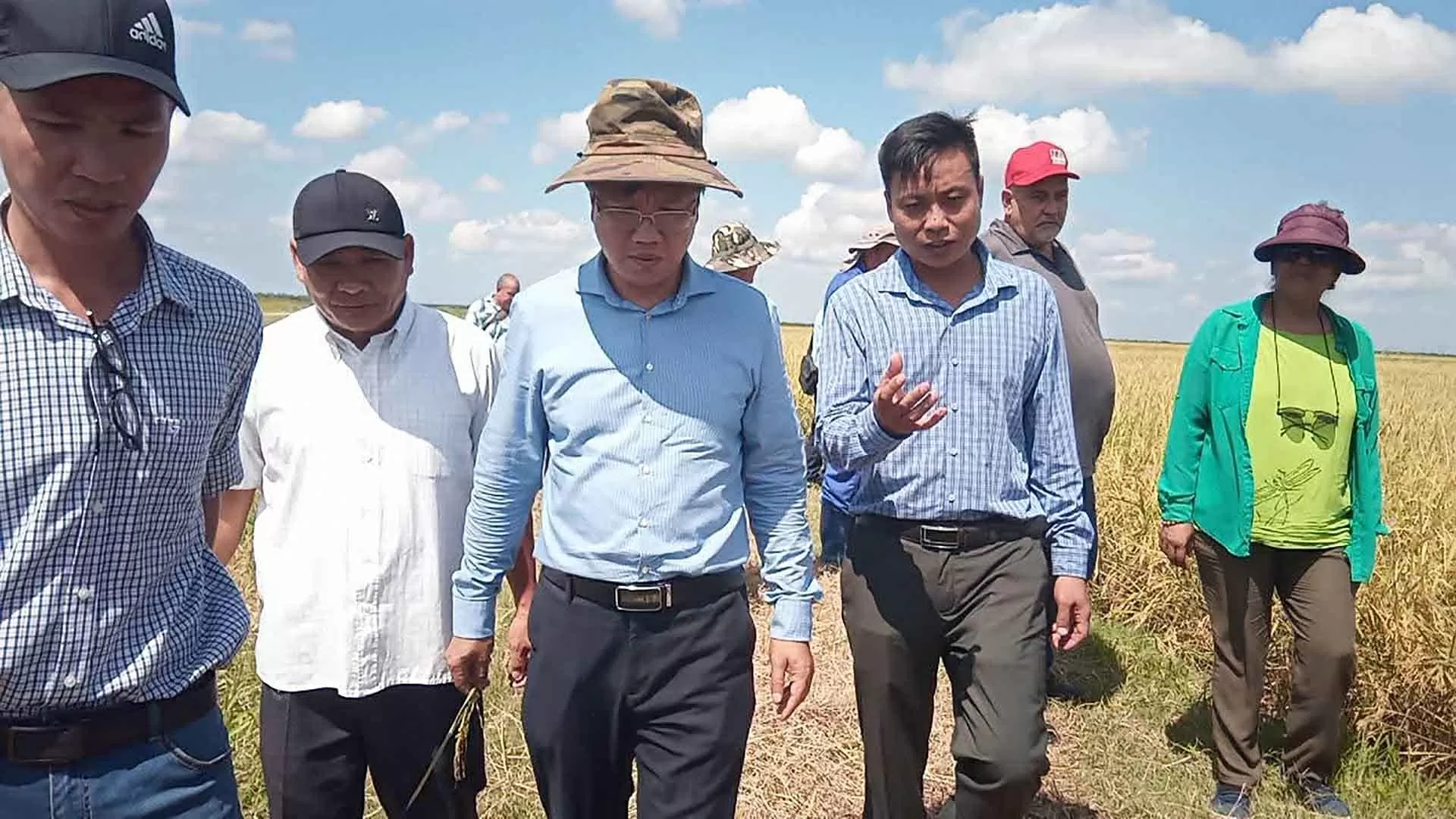 Việt Nam-Cuba phát triển sản xuất lúa gạo: Bốn giống đạt tiêu chuẩn và được đặt tên là ViBa Việt Nam-Cuba phát triển sản xuất lúa gạo: Bốn giống đạt tiêu chuẩn và được đặt tên là ViBa