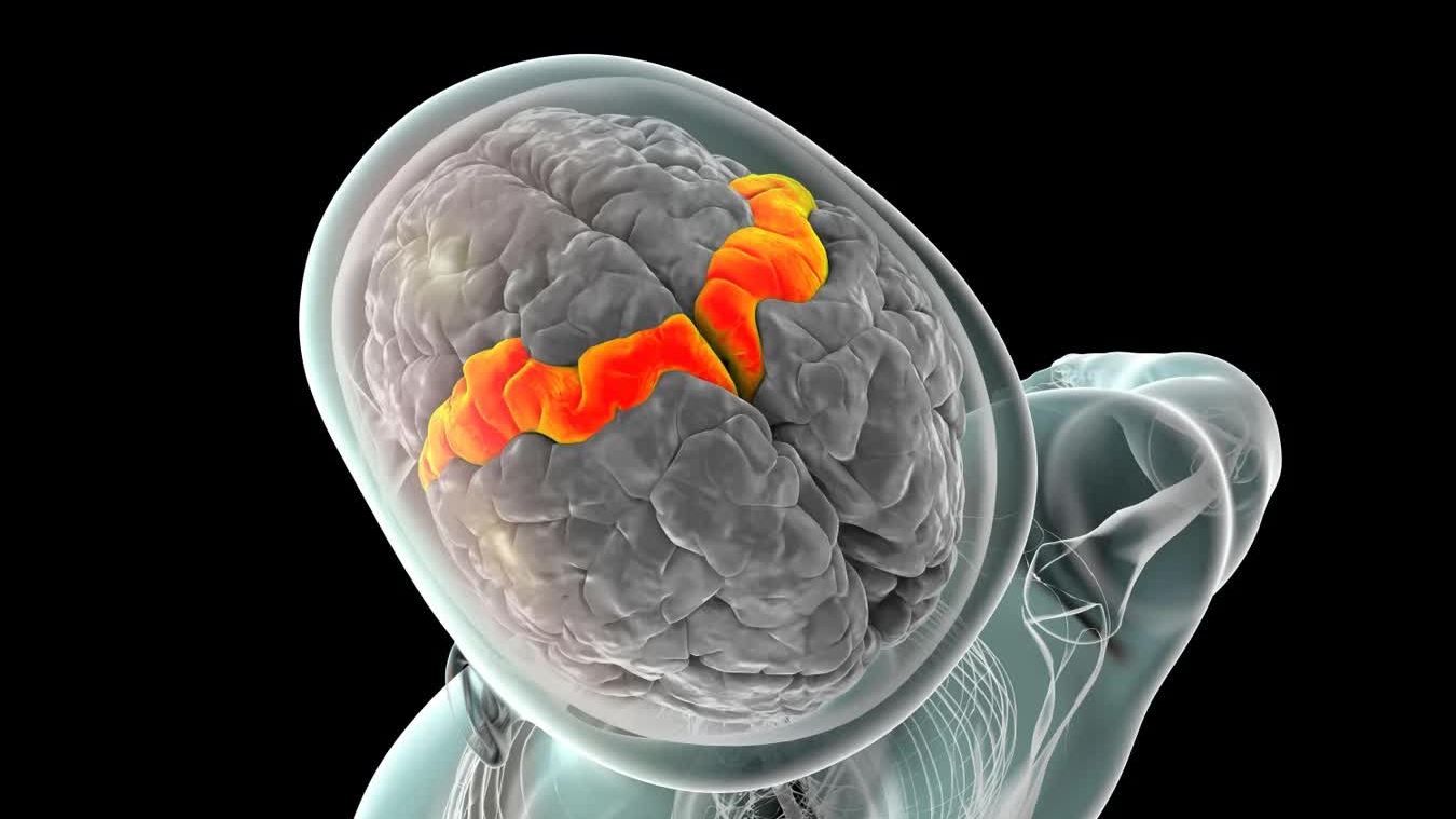 Chấn động công nghệ AI tái tạo giọng nói cho người câm