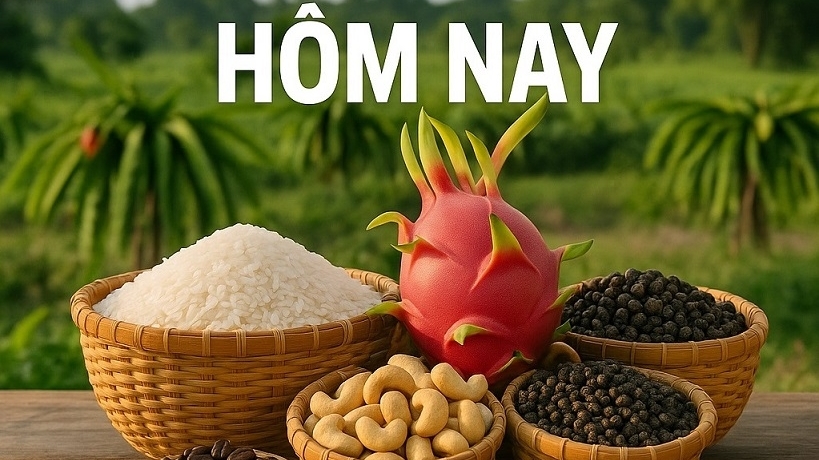 Giá nông sản hôm nay 5/12/2025: Cà phê Việt dịch chuyển tăng trưởng theo chất, Xuất khẩu tiêu lập kỷ lục; Sản lượng robusta Brazil cao lịch sử