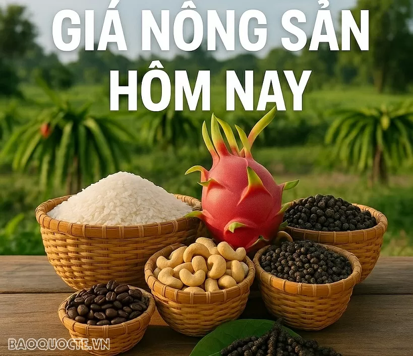 Giá nông sản hôm nay 31/7/2025: Giá cà phê robusta bất ngờ bật tăng, Giá tiêu đồng loạt đi lên; Kiến nghị về thuế VAT của một số hiệp hội nông sản Giá nông sản hôm nay 31/7/2025: Giá cà phê robusta bất ngờ bật tăng, Giá tiêu đồng loạt đi lên; Kiến nghị về thuế VAT của một số hiệp hội nông sản
