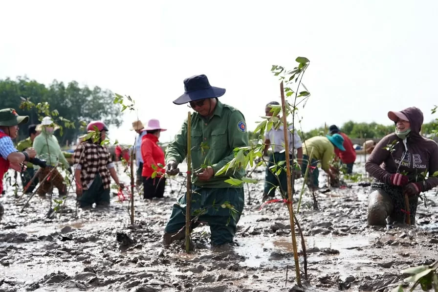 Trồng 2.025 cây mắm trắng tại Sóc Trăng, phát triển rừng ngập mặn giúp bảo vệ tương lai bền vững, thích ứng biến đổi khí hậu Trồng 2.025 cây mắm trắng tại Sóc Trăng, phát triển rừng ngập mặn giúp bảo vệ tương lai bền vững, thích ứng biến đổi khí hậu