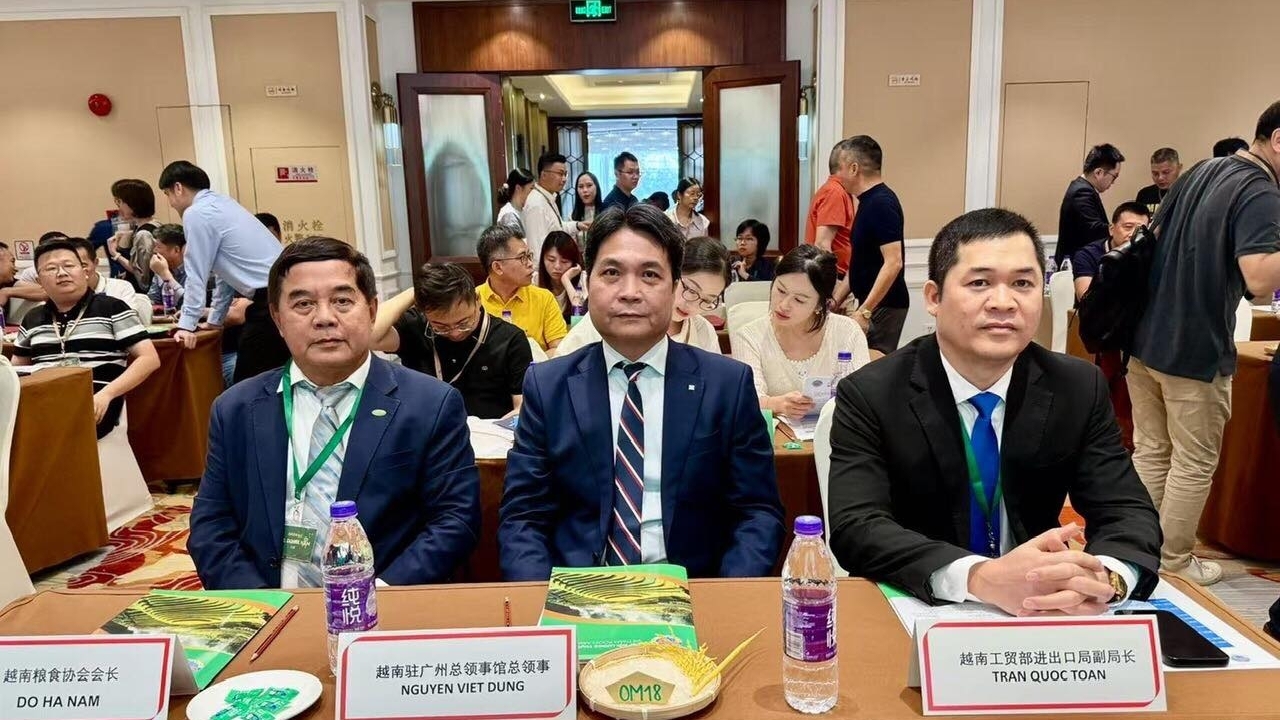 Thúc đẩy thương mại gạo Việt Nam-Trung Quốc (Quảng Đông) lên tầm cao mới