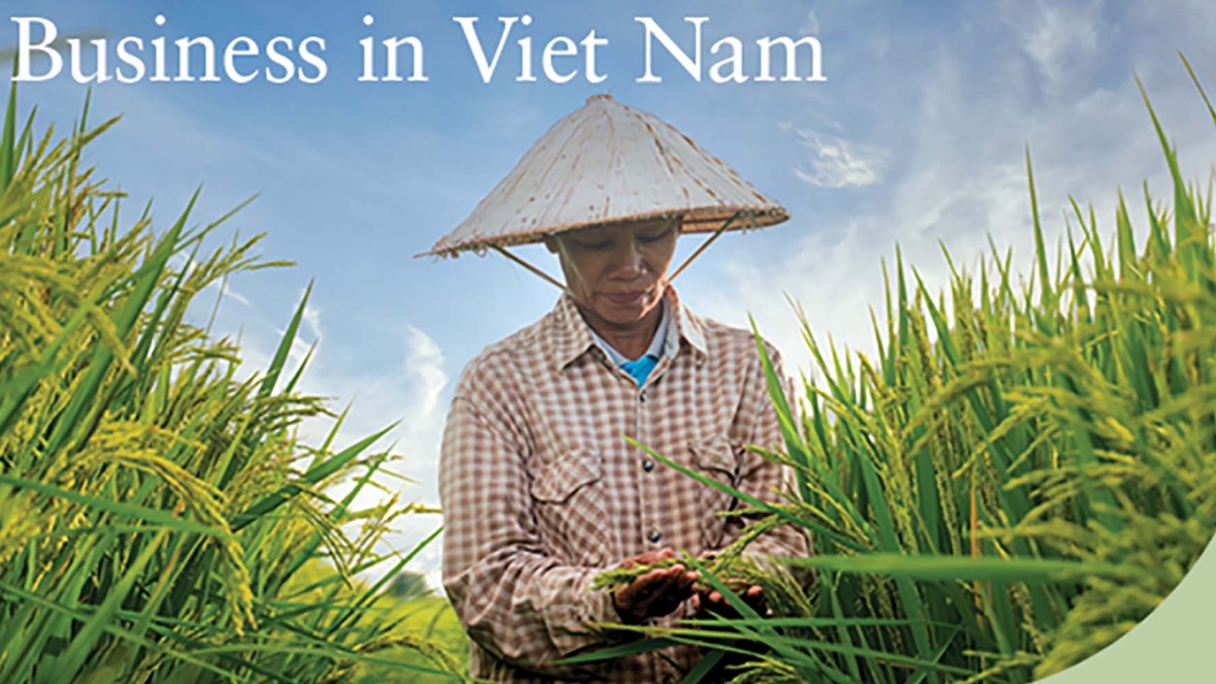 Thúc đẩy sự tham gia của phụ nữ: Động lực cho tăng trưởng xanh và việc làm của Việt Nam