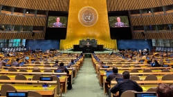 Việt Nam kêu gọi hành động quốc tế cấp bách để giải quyết khủng hoảng tại Gaza và Trung Đông