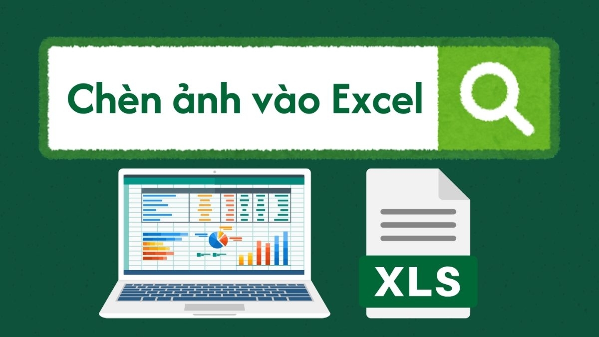 Cách chèn ảnh vào Excel vừa ô nhanh chóng và dễ dàng