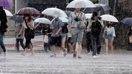 Hàn Quốc: Dự báo mưa lớn lan rộng, nhiệt độ giảm nhẹ dưới mức trung bình