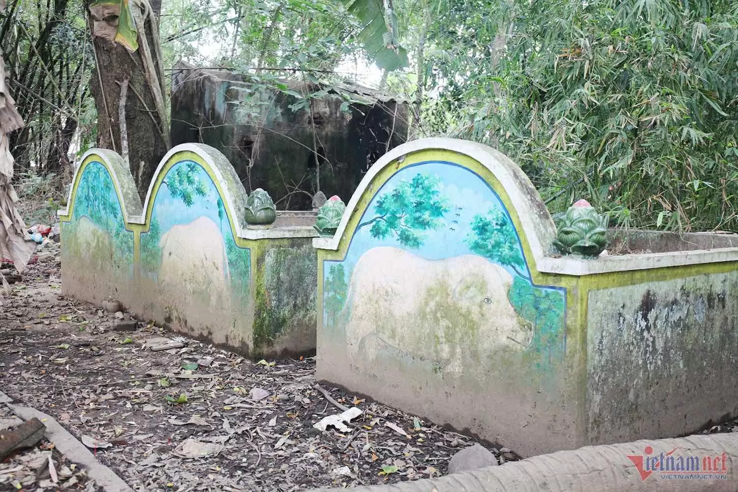 Những ngôi mộ heo 5 móng thu hút sự tò mò của du khách tới tham quan chùa Dơi Những ngôi mộ heo 5 móng thu hút sự tò mò của du khách tới tham quan chùa Dơi