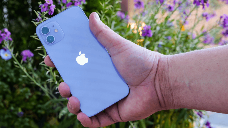 Apple từng đưa màu tím vào các dòng iPhone cơ bản như iPhone 14 hay 14 Plus. Apple từng đưa màu tím vào các dòng iPhone cơ bản như iPhone 14 hay 14 Plus.