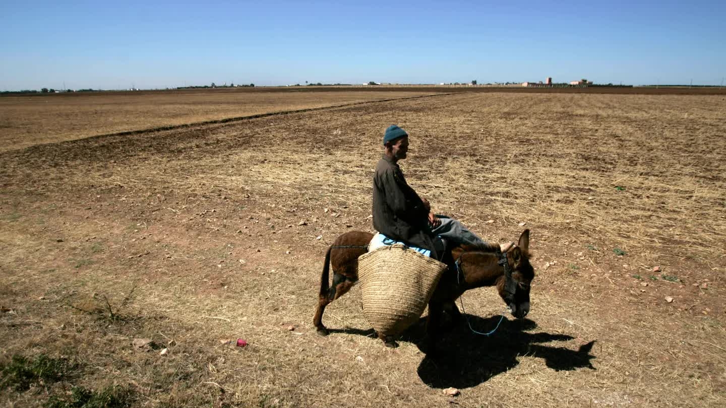 Công bố về năm nóng nhất lịch sử, 2025 tiếp tục nằm trong top