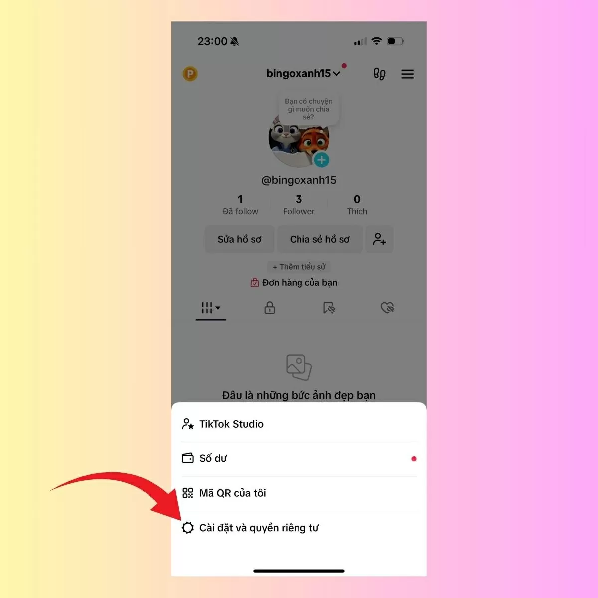 Chọn Cài đặt và quyền riêng tư.