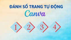 Cách đánh số trang trên Canva tự động và nhanh chóng