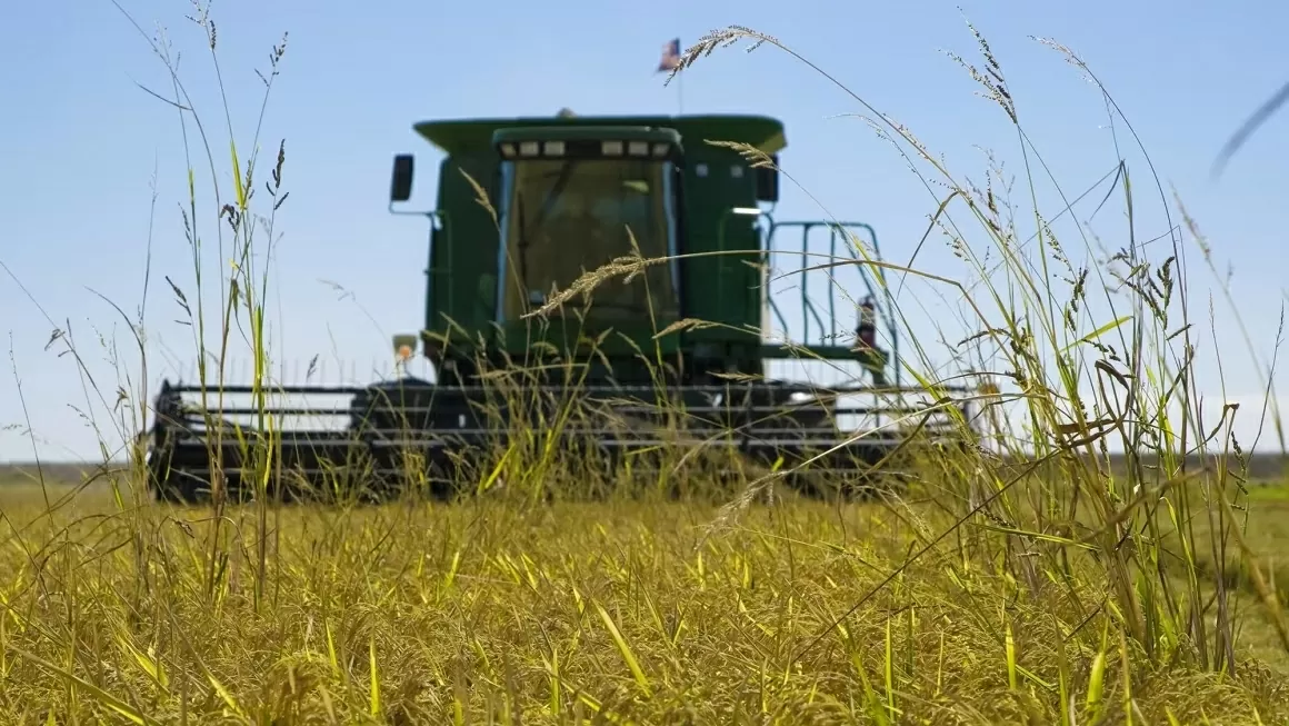 (Nguồn: Getty Images) (Nguồn: Getty Images)