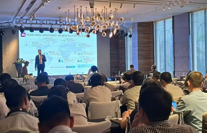 ngành dây cáp điện Việt Nam