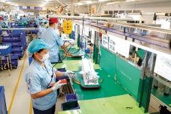 Doanh nghiệp hòa nhịp cùng ‘chuyến tàu thịnh vượng’