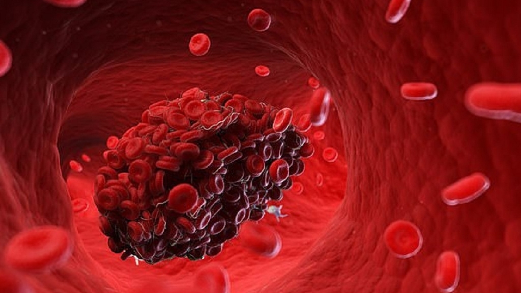 Đột phá nội tạng nhân tạo tự hình thành mạch máu