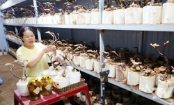 Chuyển đổi số tại Thái Nguyên: Từ khẩu hiệu đến hành động