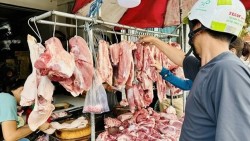 Giá heo hơi hôm nay 22/7: Giữ đà giảm nhẹ tại khu vực miền Bắc và miền Trung, miền Nam lặng sóng