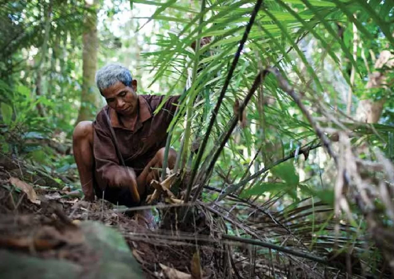 Khám phá Vườn quốc gia Hin Nam No: Di sản liên biên giới đầu tiên của Lào