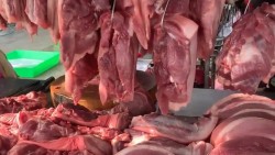 Giá heo hơi hôm nay 18/12: Tăng mạnh mẽ, Bắc Ninh đạt đỉnh mới, đạt gần 67.000 đồng/kg