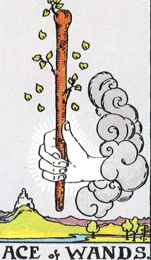 Bài tarot hôm nay 21/7: Sự thật người ấy có yêu bạn nhiều như bạn nghĩ? Bài tarot hôm nay: