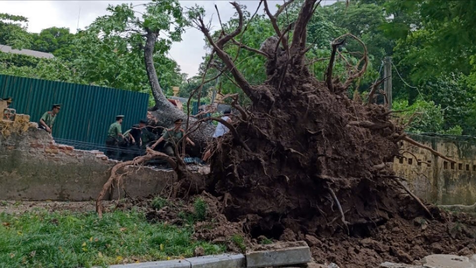 Mưa dông lốc mạnh ở miền Bắc ngày 19/7 là hiện tượng dông nhiệt hiếm gặp, cực kỳ nguy hiểm, không thể dự báo sớm