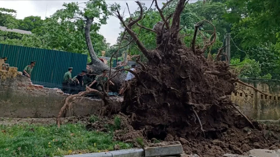 Kịch bản Elon Musk rời Mỹ sang Trung Quốc liệu có thành hiện thực? Kịch bản Elon Musk rời Mỹ sang Trung Quốc liệu có thành hiện thực?