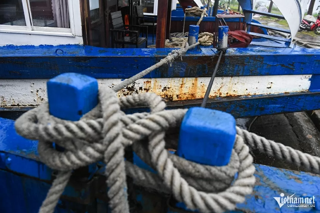 Tàu du lịch Quảng Ninh neo đậu tránh bão Wipha Tàu du lịch Quảng Ninh neo đậu tránh bão Wipha