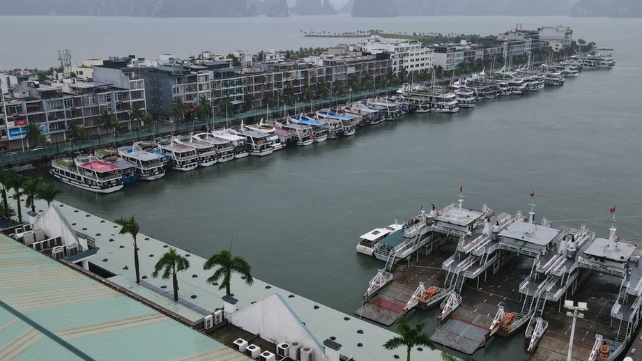 Tàu du lịch Quảng Ninh neo đậu tránh bão Wipha (bão số 3)