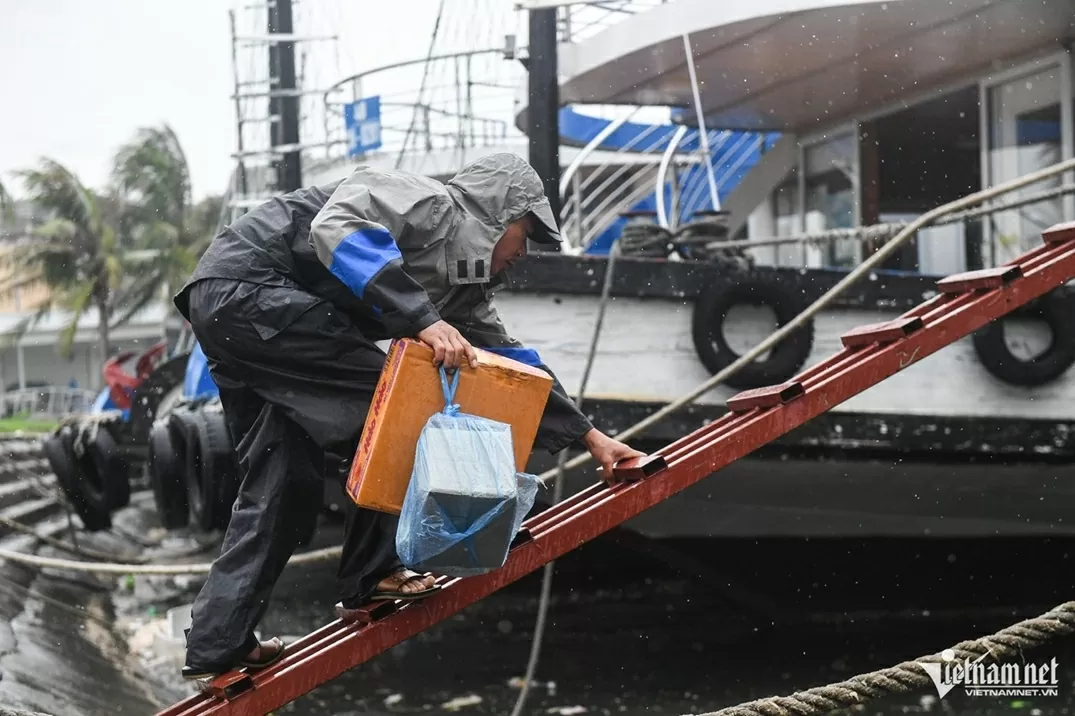 Tàu du lịch Quảng Ninh neo đậu tránh bão Wipha