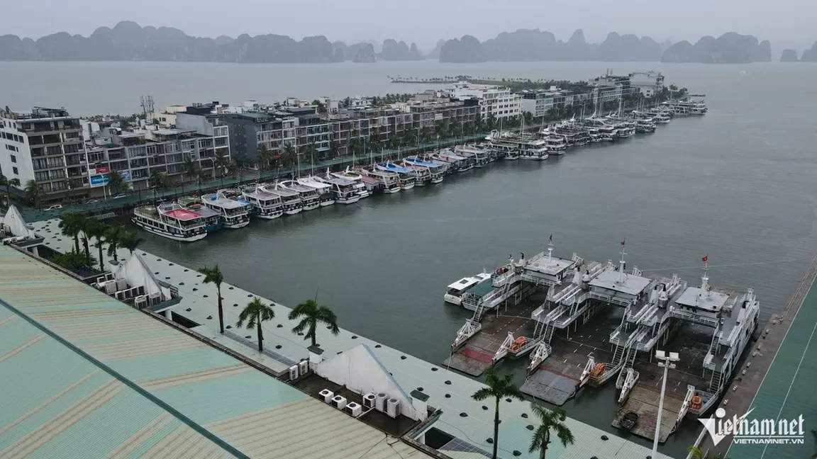 Tàu du lịch Quảng Ninh neo đậu tránh bão Wipha Tàu du lịch Quảng Ninh neo đậu tránh bão Wipha