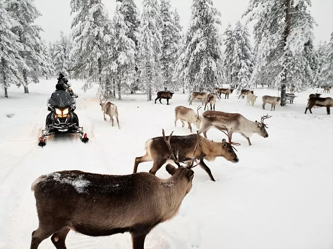 Khám phá thế giới: 10 phương tiện công cộng độc đáo nhất thế giới Khám phá thế giới: 10 phương tiện công cộng độc đáo nhất thế giới