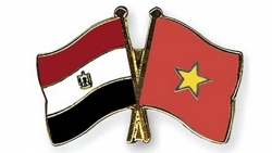 Điện mừng Quốc khánh Ai Cập