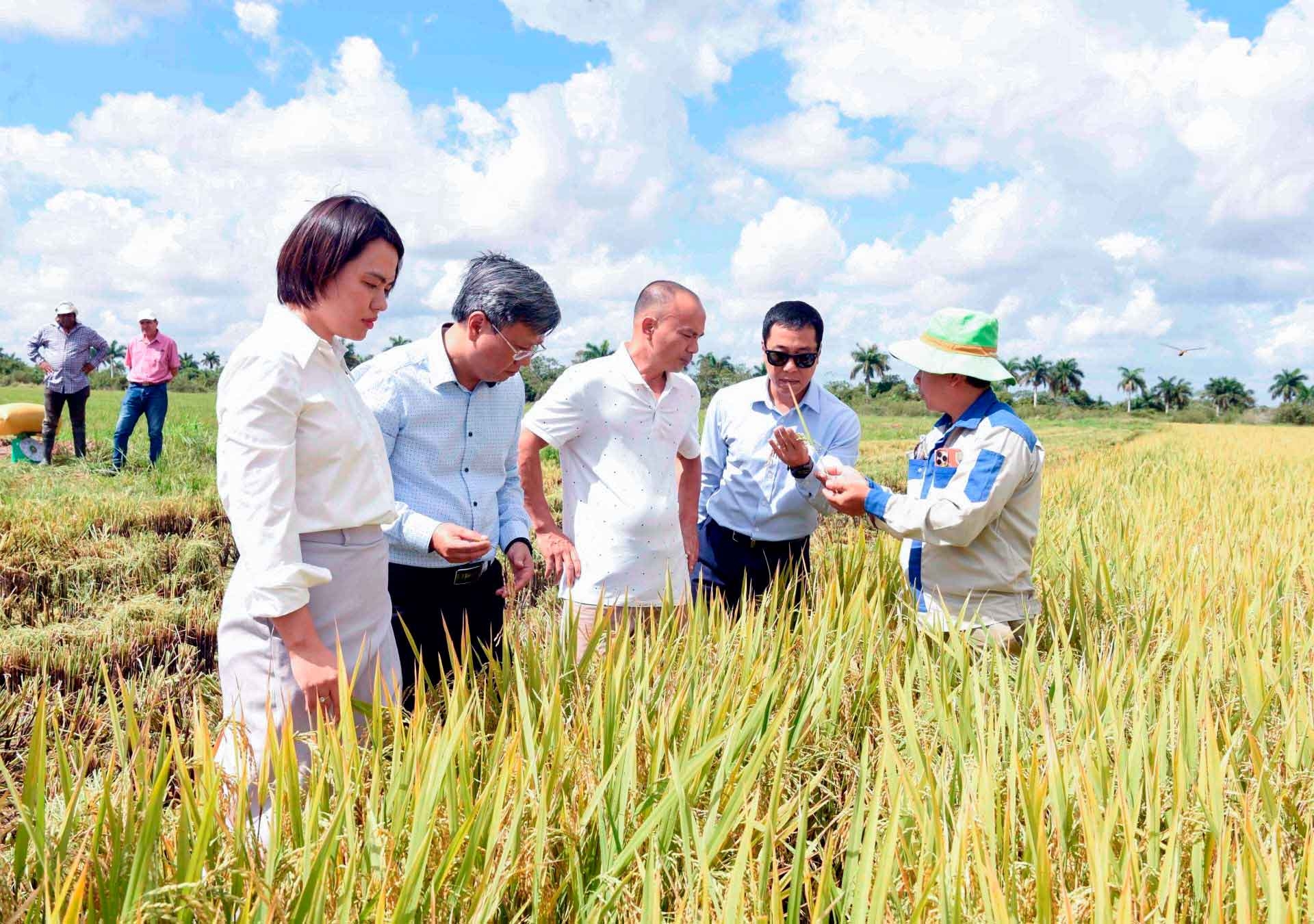 Việt Nam - Cuba: Hai trái tim luôn cùng chung nhịp đập