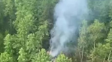 Việt Nam điện thăm hỏi vụ tai nạn máy bay tại Nga