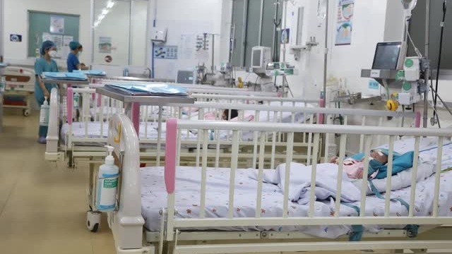 Tai hại khi hiểu sai về sốt xuất huyết