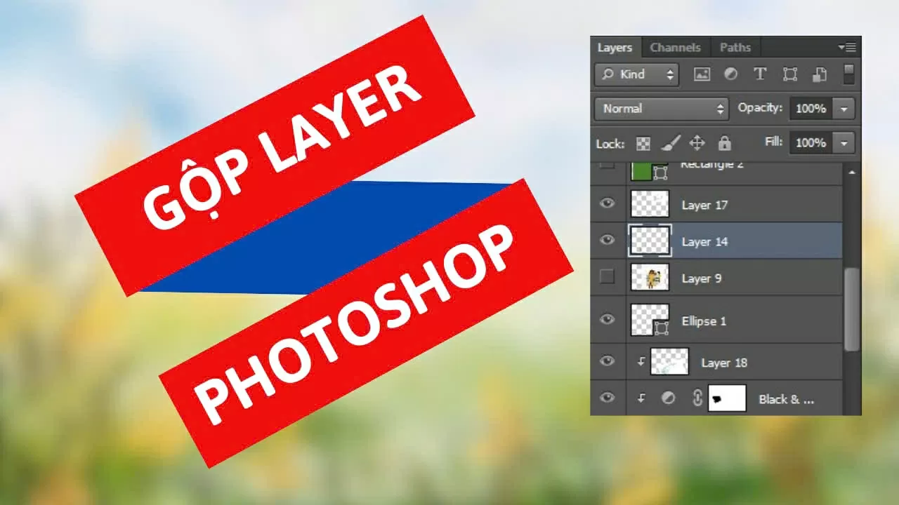 Cách gộp Layer trong Photoshop nhanh chóng và dễ thực hiện. Cách gộp Layer trong Photoshop nhanh chóng và dễ thực hiện.