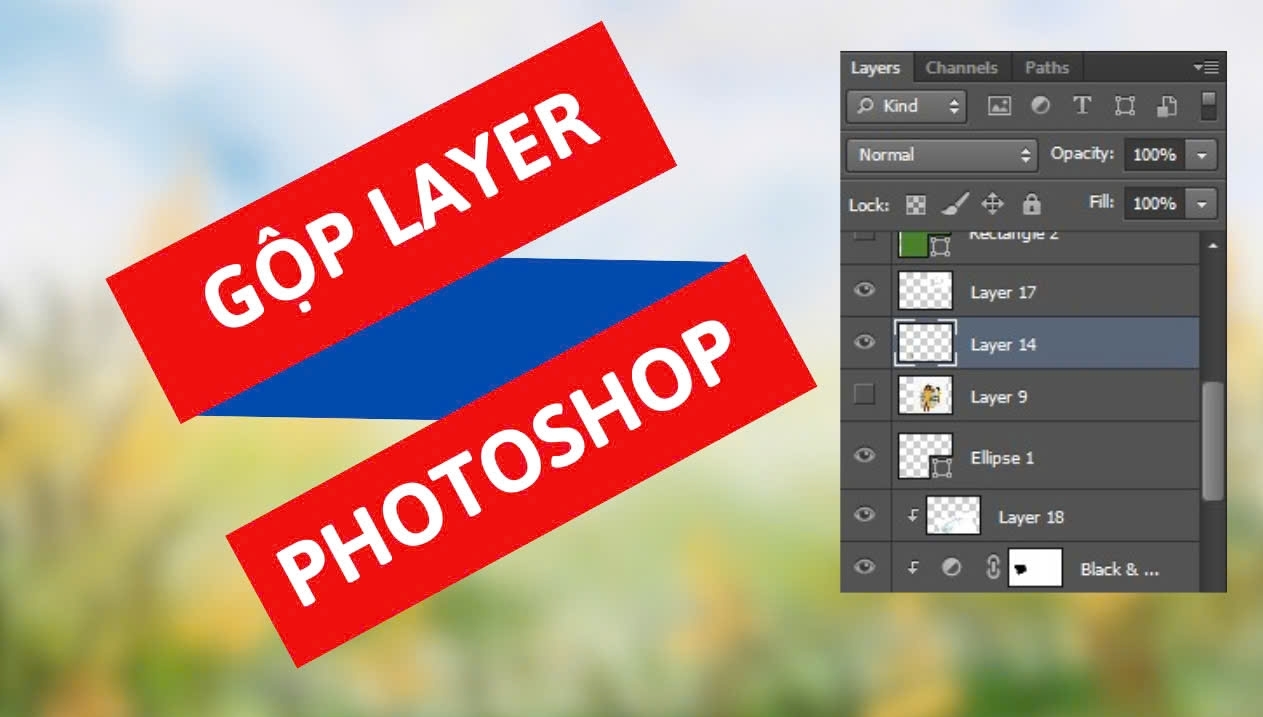Cách gộp Layer trong Photoshop nhanh chóng và dễ thực hiện