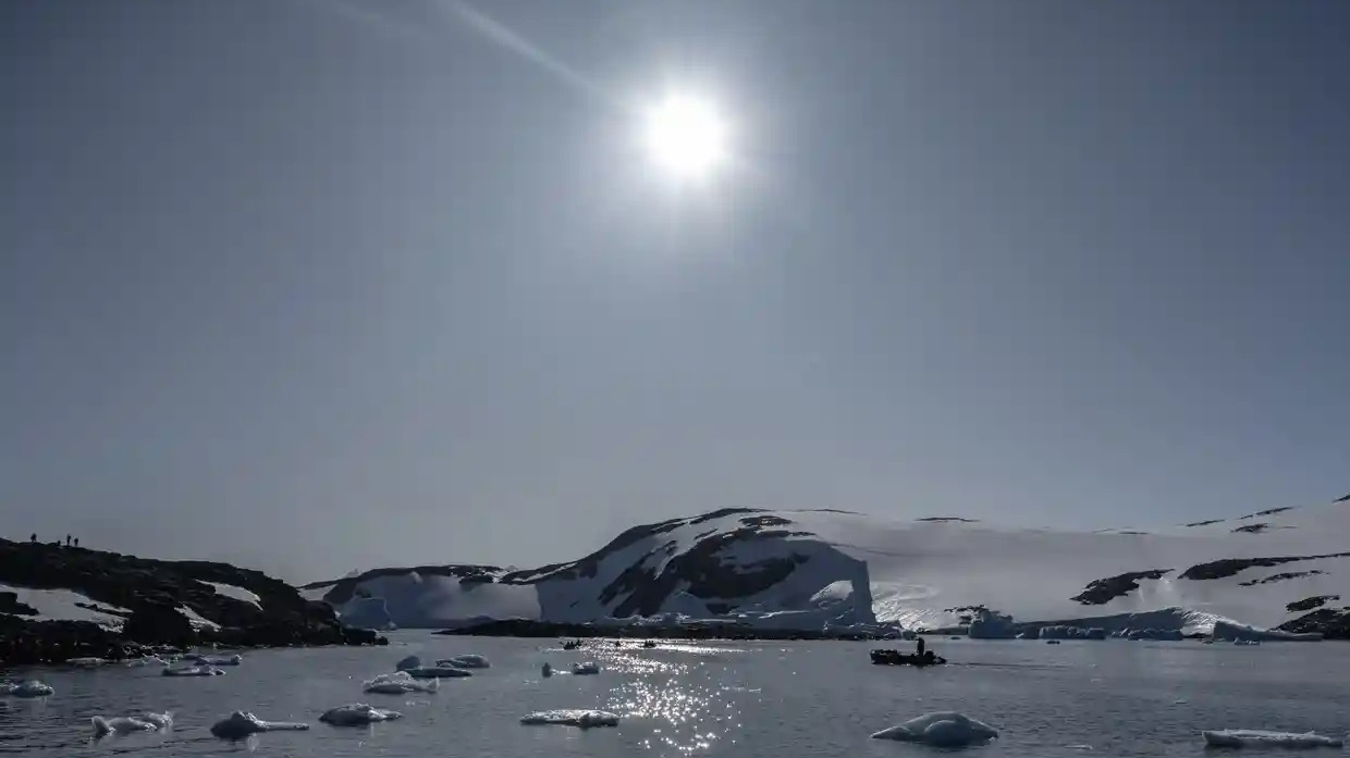 Cảnh báo về những thay đổi hệ sinh thái lớn tại Nam Đại Dương