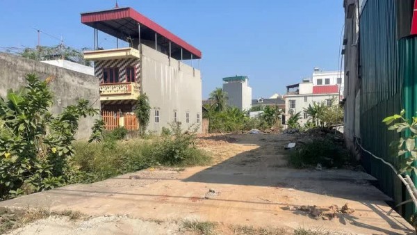 Thị trường bất động sản 6 tháng đầu năm 2025: Đất nền hạ nhiệt, bước vào giai đoạn thận trọng