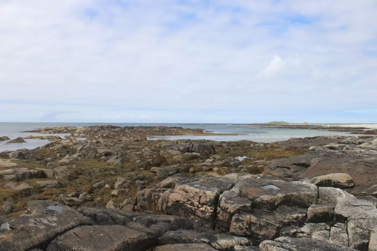 Du khách phát hiện loài sứa ‘tuyệt chủng’ tại vùng biển Scotland, Anh Du khách phát hiện loài sứa ‘tuyệt chủng’ tại vùng biển Scotland, Anh