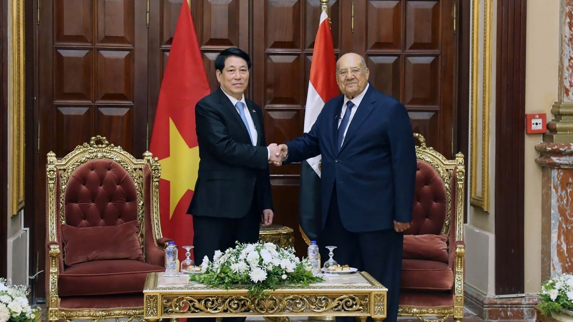 Chủ tịch nước Lương Cường hội kiến Chủ tịch Thượng viện Ai Cập