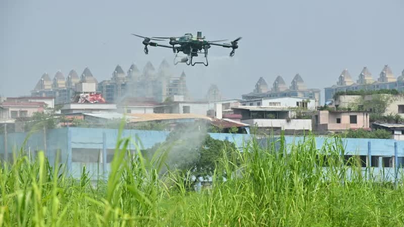 Dịch chikungunya: Trung Quốc dùng 'chiến thuật' mạnh như thời chống Covid-19, chuyên gia nói gì?