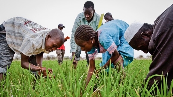 Liên minh châu Phi kêu gọi các thành viên ra quyết định 'thận trọng nhưng táo bạo' này