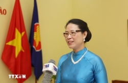 Tiếng Việt - sợi dây bền chặt nối kiều bào với cội nguồn