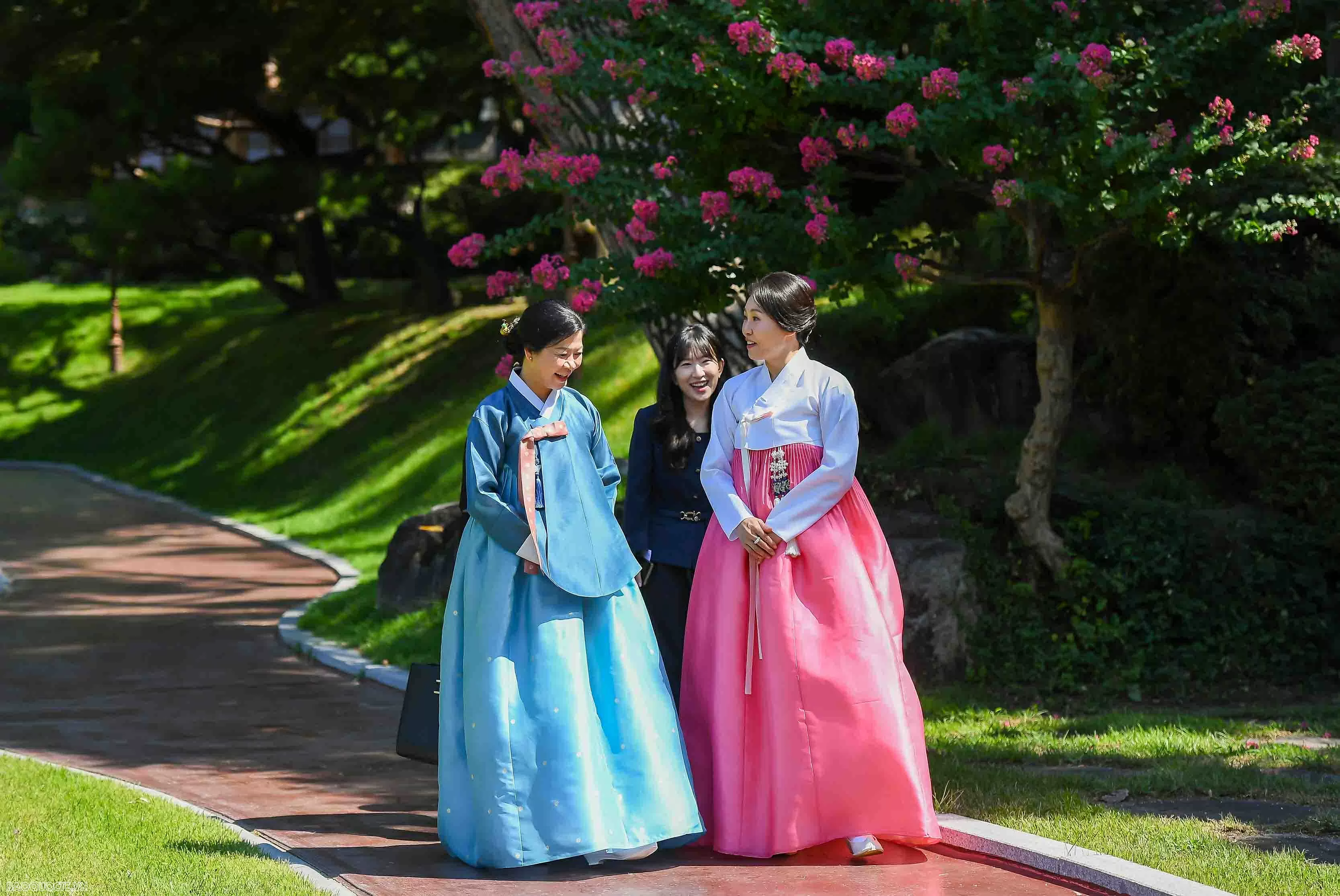 Tổng thống Hàn Quốc và Phu nhân chơi nhạc cụ truyền thống Việt Nam Tổng thống Hàn Quốc và Phu nhân chơi nhạc cụ truyền thống Việt Nam