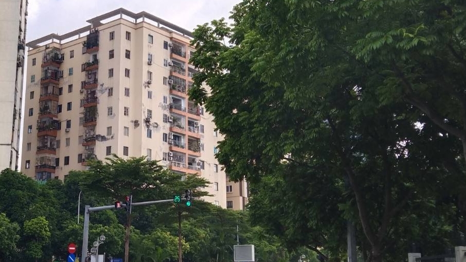 Đèn xanh cố tình dừng không đi bị phạt thế nào?